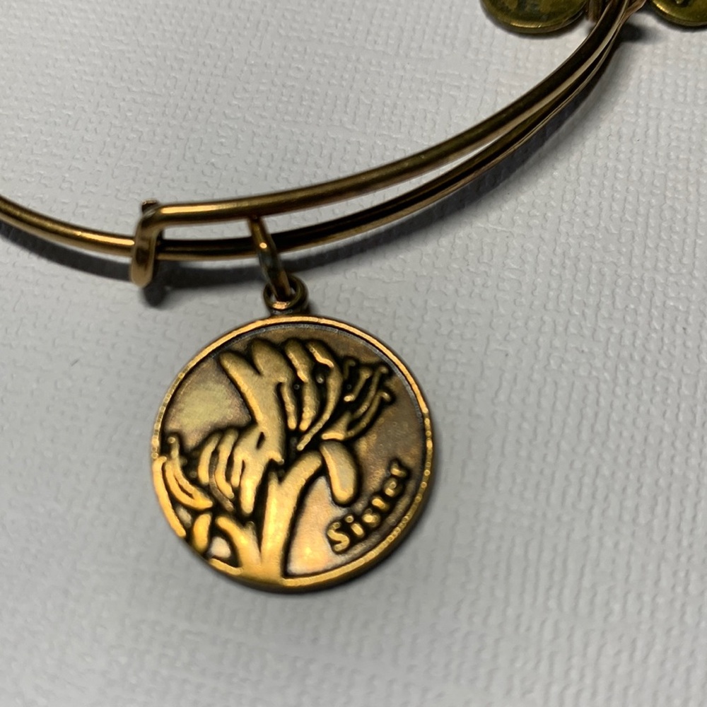 3/$15 Alex and Ani Sister rafaelian gold tone Sister bracelet
